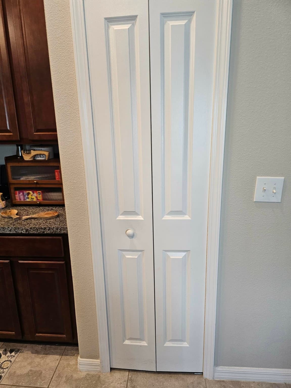 Door Replacement before